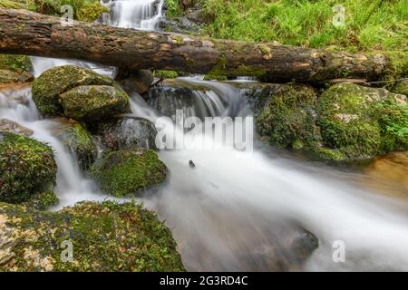 Torrent de montagne dans les Vosges. Cascade de Charlemagne sur la Vologne. Banque D'Images