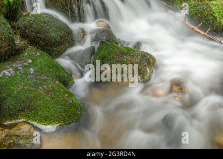 Torrent de montagne dans les Vosges. Cascade de Charlemagne sur la Vologne. Banque D'Images