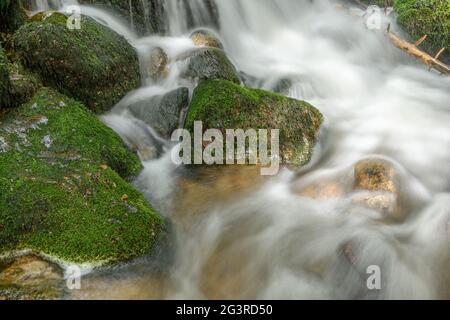 Torrent de montagne dans les Vosges. Cascade de Charlemagne sur la Vologne. Banque D'Images