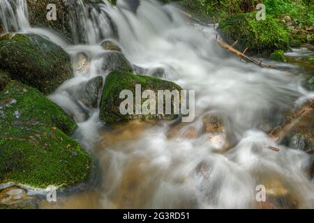 Torrent de montagne dans les Vosges. Cascade de Charlemagne sur la Vologne. Banque D'Images