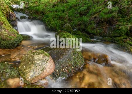 Torrent de montagne dans les Vosges. Cascade de Charlemagne sur la Vologne. Banque D'Images