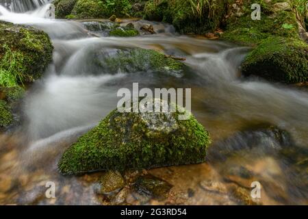 Torrent de montagne dans les Vosges. Cascade de Charlemagne sur la Vologne. Banque D'Images