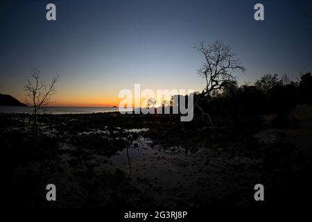 Lever du soleil sur une plage de mangroves rocheuse dans un paysage sombre à marée basse montrant une lueur orange à l'horizon, objectif Fish Eye Banque D'Images