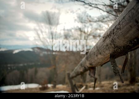 Clôture en bois dans la nature sauvage Banque D'Images