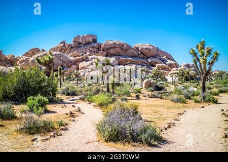 L'équilibre entre les roches du désert dans la région de Joshua National Park, Californie Banque D'Images