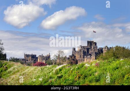 ALNWICK, ANGLETERRE - 10 JUIN 2021 : château d'Alnwick derrière une banque de fleurs sauvages, un beau jour de printemps, Northumberland, Angleterre Banque D'Images