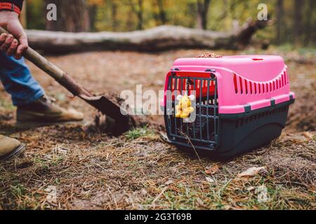 Effrayant scène d'horreur homme digue tombe pour animal dans la forêt. Terrible perte de petit ami. Mort de l'animal. Funérailles de chat. Gravedigge Banque D'Images