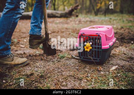 Effrayant scène d'horreur homme digue tombe pour animal dans la forêt. Terrible perte de petit ami. Mort de l'animal. Funérailles de chat. Gravedigge Banque D'Images