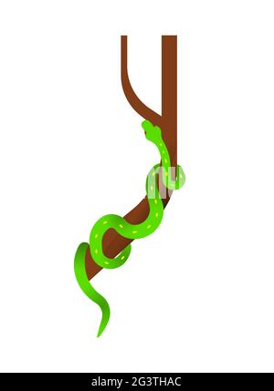 Illustration dangereuse de serpent vert sur fond blanc isolé. Concept animal reptile de jungle exotique. Conception pédagogique de la faune dans des dessins animés modernes Illustration de Vecteur