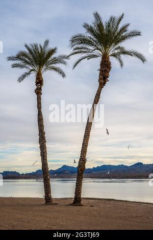 Une vue à couper le souffle à Lake Havasu, en Arizona Banque D'Images