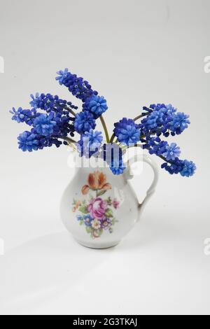 Fleurs bleues dans UN vase Banque D'Images