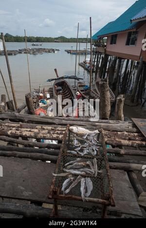 Séchage du poisson sur le filet dans le village de Koh Panyee Banque D'Images