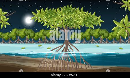 Scène de paysage de la forêt de mangroves à l'illustration de nuit Illustration de Vecteur