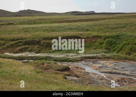 Région géothermique de Seltun à Krysuvik, péninsule de Reykjanes, Islande Banque D'Images