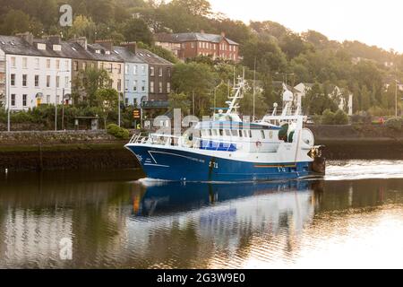 Cork, Cork, Irlande. 18 juin 2021. Le chalutier Atlantic Rose se dirige vers le quai d'Horgan, où elle déchargera ses prises à Cork, en Irlande. - crédit; crédit: David Creedon/Alamy Live News Banque D'Images