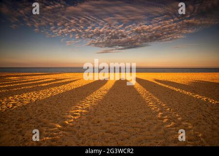 Ombres au coucher du soleil des cabanes de plage sur la plage à Southwold dans Suffolk, Angleterre Royaume-Uni Banque D'Images