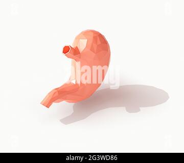 Illustration 3d isométrique d'un estomac d'organe humain à faible teneur en poly isolé sur du blanc Banque D'Images