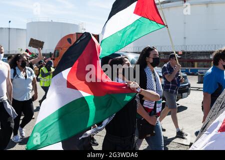 Seattle, États-Unis. 17 juin 2021. Des militants BDS de mi-journée au terminal 18 continuent de protester et tentent de bloquer le déchargement du navire à conteneurs ZIM San Diego par Israël. Le navire devait accoster il y a 16 jours à Seattle le 2 juin. Des navires à conteneurs ZIM ont été bloqués dans des ports de Californie, de l'État de Washington et au Canada, alors que la violence continue de s'aggraver à Gaza. Crédit : james anderson/Alay Live News Banque D'Images