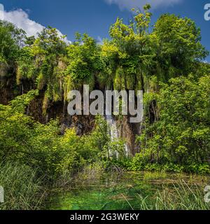 Cascade illuminée par la lumière du soleil vue à travers les arbres avec le petit étang des lacs de Plitvice Banque D'Images