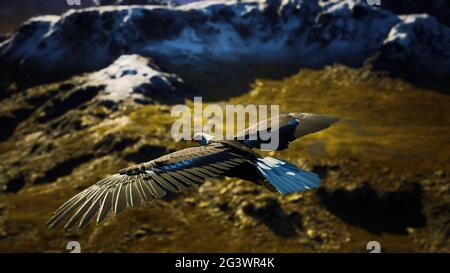 Un aigle à tête blanche américain au ralenti en vol au-dessus des montagnes de l'alaska Banque D'Images