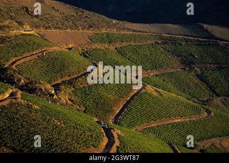FRANCE. PYRÉNÉES-ORIENTALES (66) CÔTE VERMEILLE. LES ALBERES. VIGNOBLES DANS L'ARRIÈRE-PAYS DE BANYULS Banque D'Images