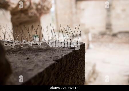 Pointes métalliques répulsives installées sur le corniche du bâtiment historique. Concept de contrôle des oiseaux pour le patrimoine architectural Banque D'Images