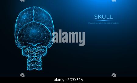 Illustration vectorielle polygonale d'un crâne humain, vue arrière. Modèle anatomique du crâne et de la colonne cervicale sur le dos bleu foncé Banque D'Images