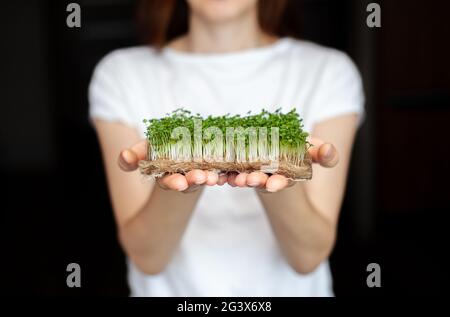 Une femme tient des micro verts cultivés à la maison dans ses mains. Une alimentation saine et saine. Plats végétariens. Micro-légumes verts pour les salades et les repas Banque D'Images