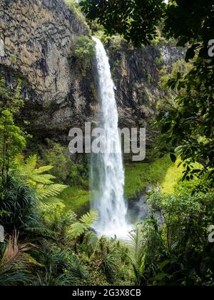 La magie Waireinga Bridal Veil Falls dans la région de Raglan Waikato Banque D'Images