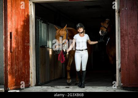 Jeune femme athlétique dans les vêtements d'équitation prend deux chevaux dehors pour le cheval de l'écurie.ils sont tous heureux.concept de style de vie approprié. Beauté et plaisir Banque D'Images