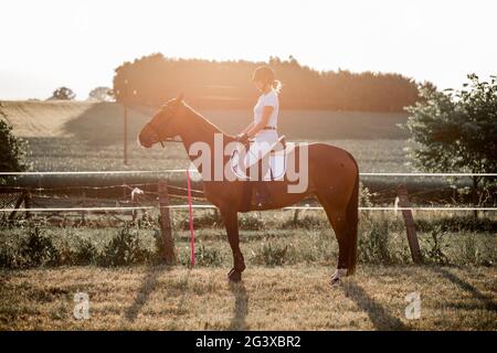 Une jeune femme fait du cheval sur fond de nature. Sports et santé. Loisirs actifs. Profiter de la vie. Style de vie. Banque D'Images