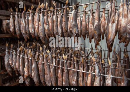 Concept de production de poisson fumé Banque D'Images
