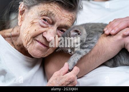 Femme senior tendresse, baiser mignon gris Scottish Straight chaton sur le canapé à la maison de soins avec volontaire. Thérapie Kitty. Grand Banque D'Images