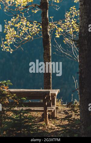 Golden, des érables jaunes, des chênes et des oiseaux dans les montagnes. Temps d'automne chaud dans les hautes terres. Nature dans la réserve, nationale Banque D'Images