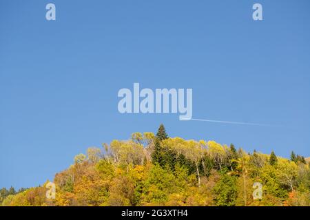 Golden, des érables jaunes, des chênes et des oiseaux dans les montagnes. Temps d'automne chaud dans les hautes terres. Nature dans la réserve, nationale Banque D'Images