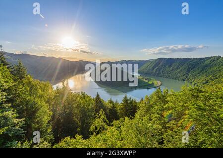 Schlögener Schlinge sur le Danube en haute-Autriche, Autriche Banque D'Images