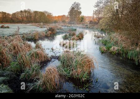 Marshcourt River, Stockbridge Hampshire Banque D'Images