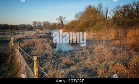 Marshcourt River, Stockbridge Hampshire Banque D'Images