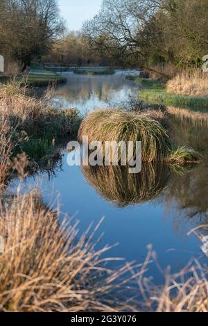 Marshcourt River, Stockbridge Hampshire Banque D'Images