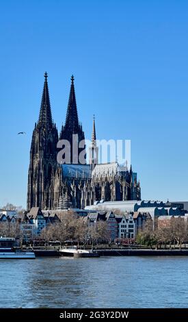 Vue sur la cathédrale de Cologne depuis l'est, Cologne, Rhénanie-du-Nord-Westphalie, Allemagne Banque D'Images