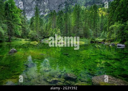 Au Gosaulacke, Gosau, Gosauseen, haute-Autriche, Autriche, Europe Banque D'Images