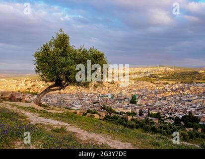 Vieille médina de Fès, vue en hauteur, région de Fès-Meknes, Maroc Banque D'Images