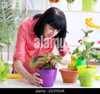 La fleuriste femme travaillant dans le magasin de fleur Banque D'Images