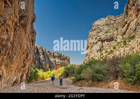 Randonneurs dans Dog Canyon, Santiago Mountains, parc national de Big Bend, Texas, États-Unis Banque D'Images