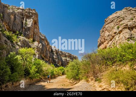 Randonneur dans Dog Canyon, Santiago Mountains, parc national de Big Bend, Texas, États-Unis Banque D'Images