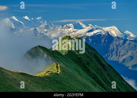 Le sentier de montagne mène le long de la crête au sommet avec drapeau, Alpes bernoises en arrière-plan, Augstmatthorn, Alpes Emmental, Berne, Suisse Banque D'Images