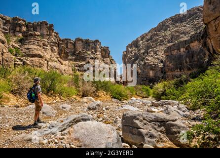 Randonneur dans Dog Canyon, Santiago Mountains, parc national de Big Bend, Texas, États-Unis Banque D'Images