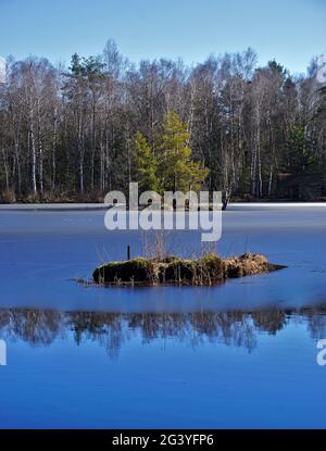 Pfrunger Ried, lande dans la haute Souabe près de Wilhelmsdorf, sud de l'Allemagne, Banque D'Images