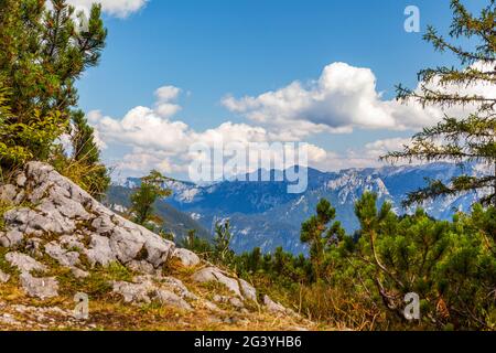 Vue sur le Steinerne Meer en été, Chiemgau, Bavière, Allemagne, Pinzgau, Salzbourg, Autriche Banque D'Images