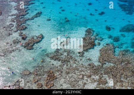 Vue aérienne des personnes avec plongée en apnée dans le lagon, l'île d'Avatoru, l'atoll de Rangiroa, les îles de Tuamotu, la Polynésie française, Pacifique Sud Banque D'Images